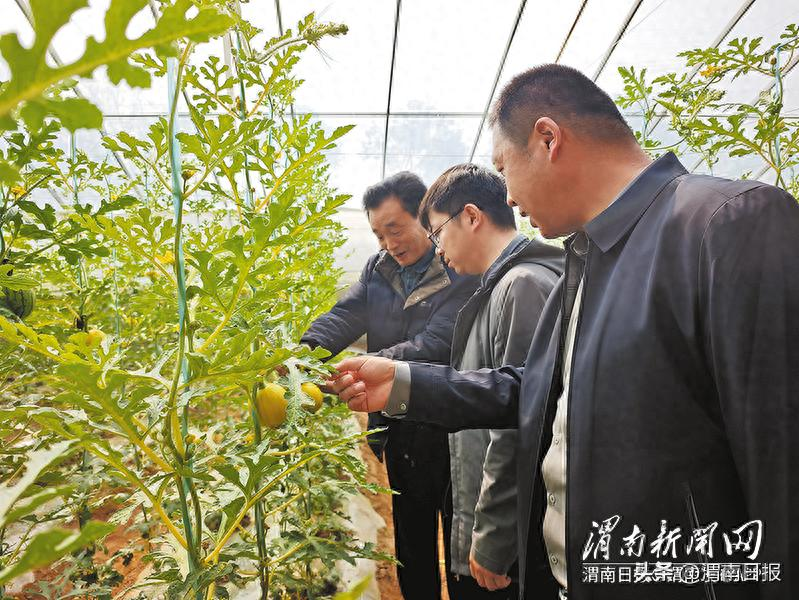遵义农产品电商